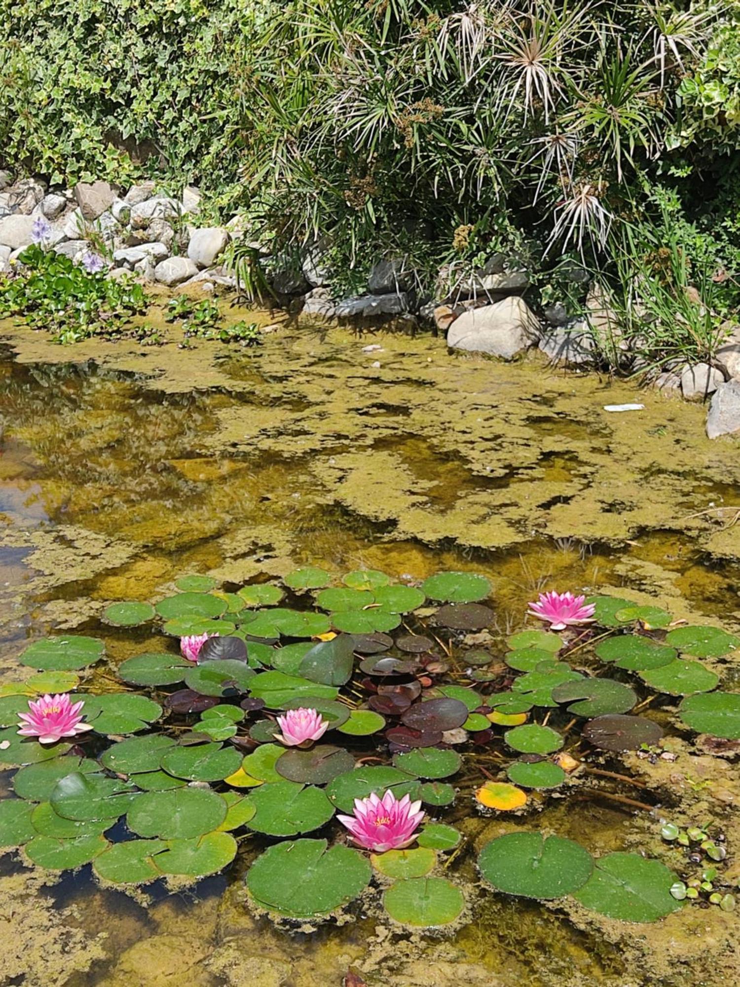 Krio Gelsomare Hotel โปลีกัสโตร บุสเซนตีโน ภายนอก รูปภาพ